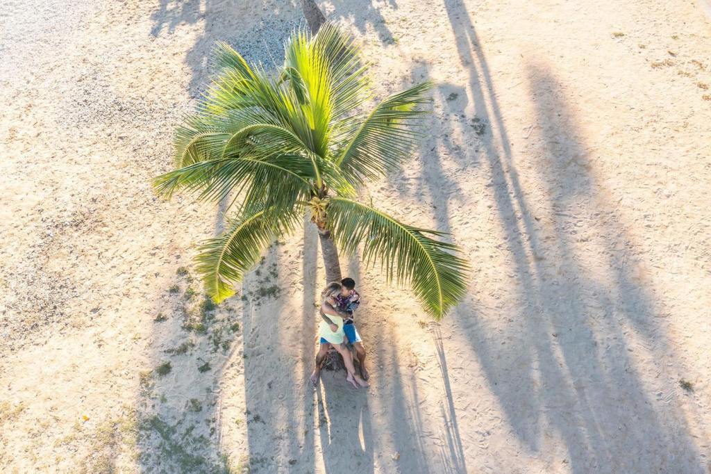 Proposal set up in Oahu